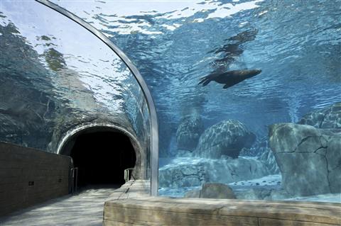 St Louis Zoo
