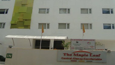 The Maple Leaf image