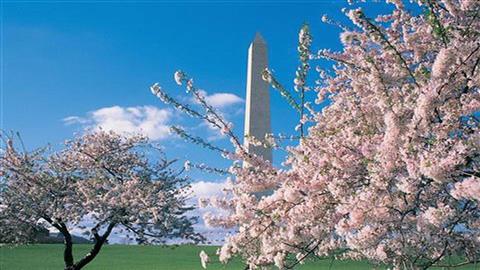 National Mall