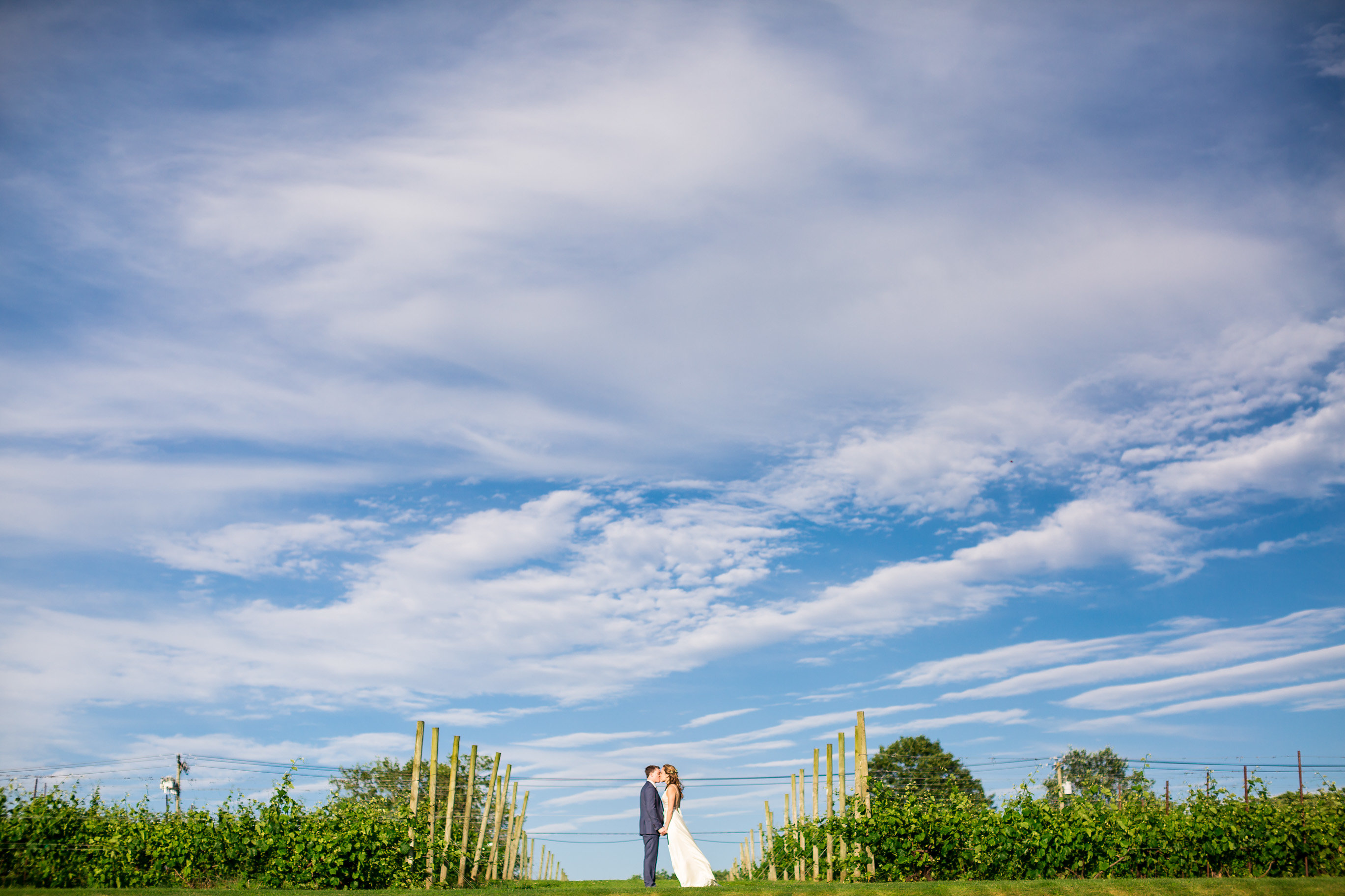 Preston Ridge Vineyard, photo 3