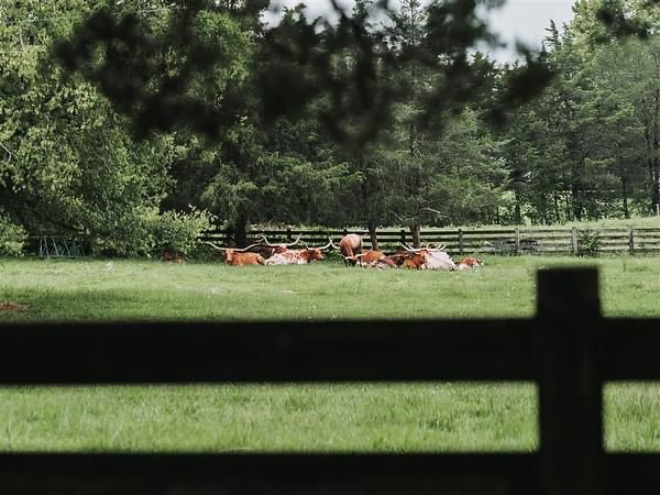 The Gentry Farm, photo 6