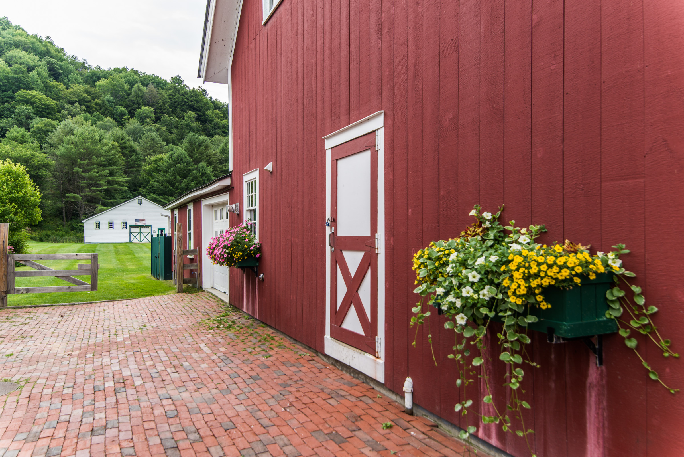 Three Stallion Inn, photo 5