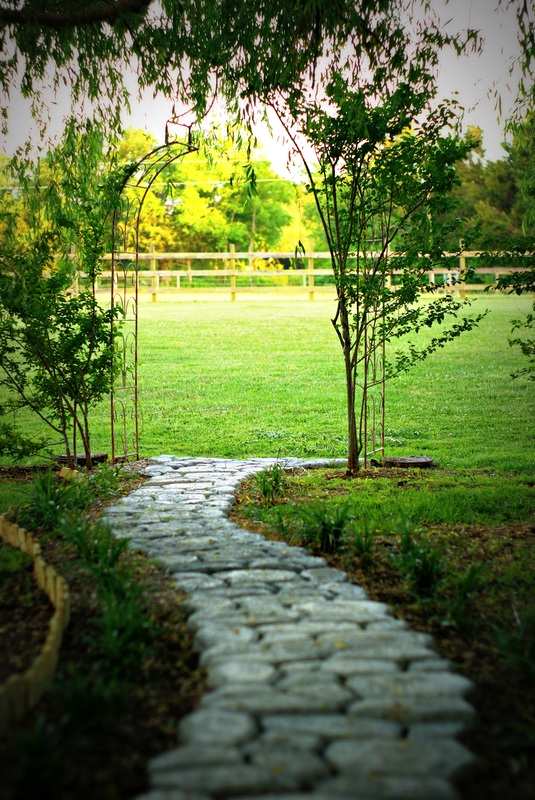 Cheval Manor Ranch, photo 4