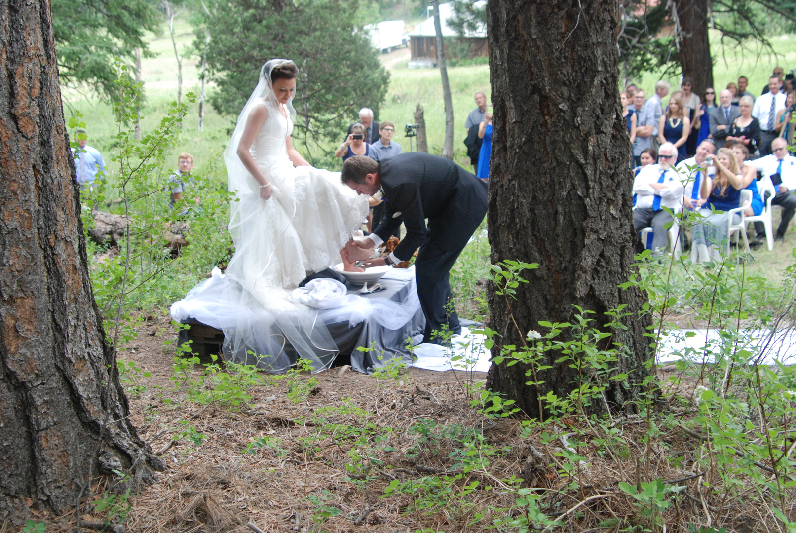Conifer Pines Event Center, photo 3
