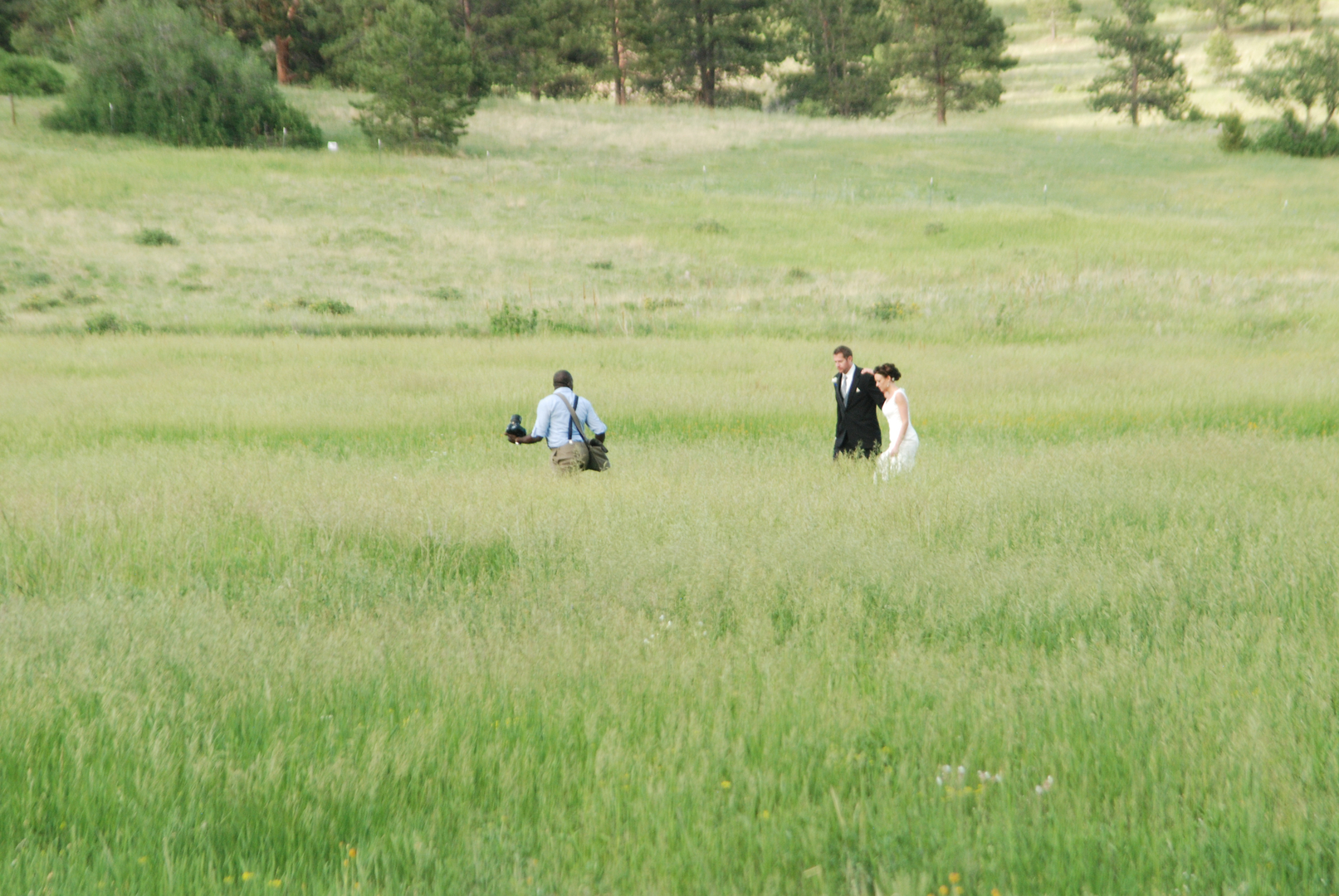 Conifer Pines Event Center, photo 6