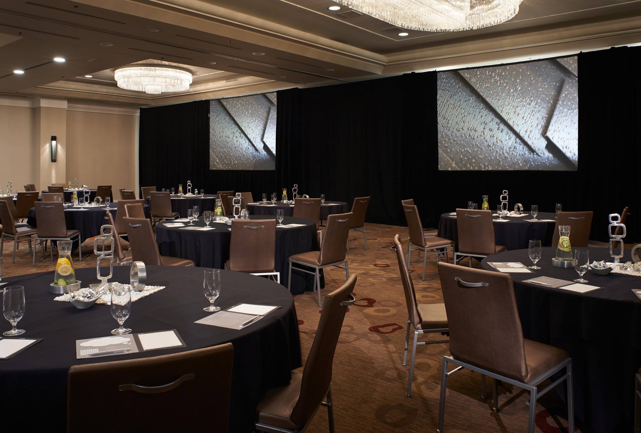 The Renaissance Baronette, photo 4