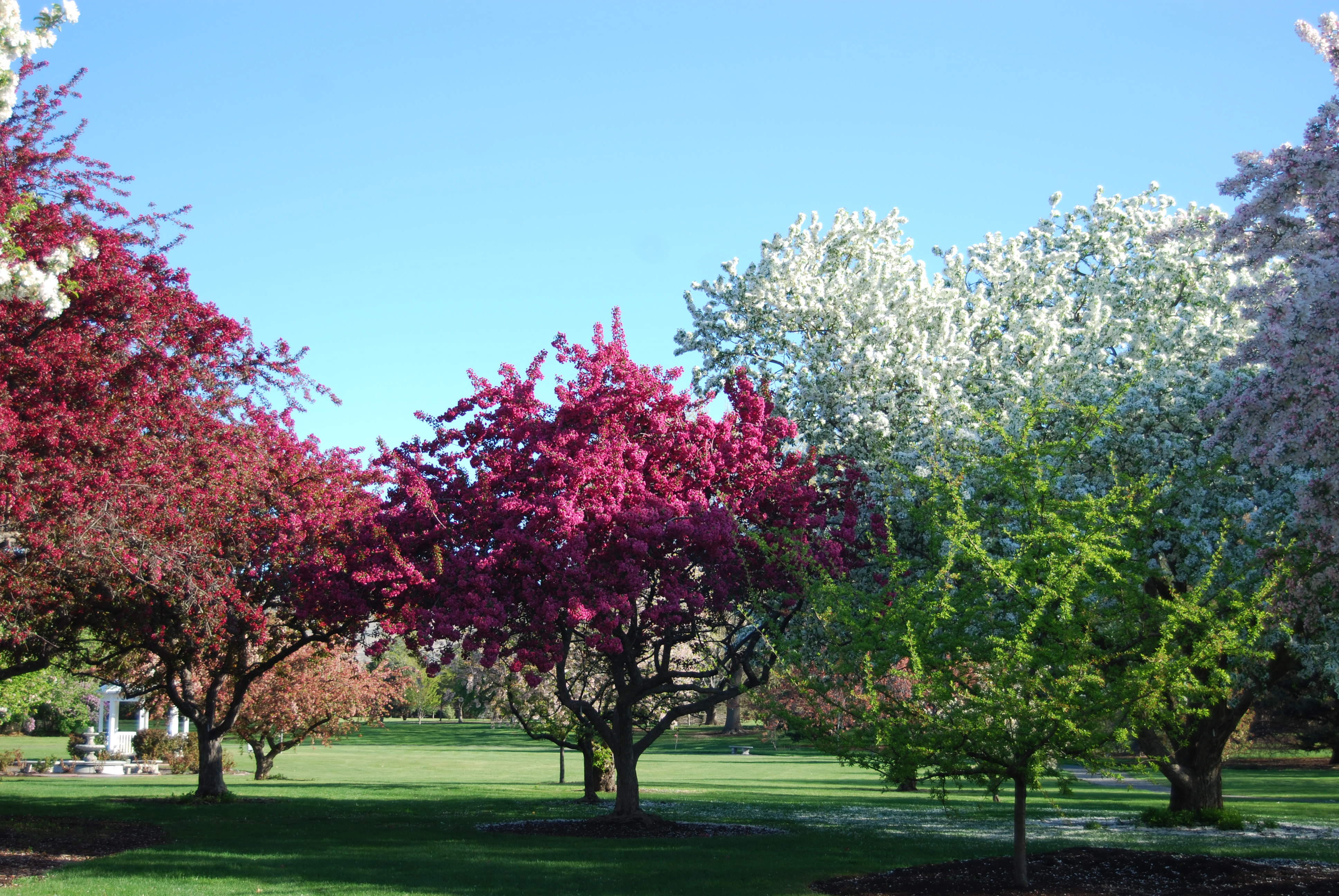 Yakima Arboretum, photo 6